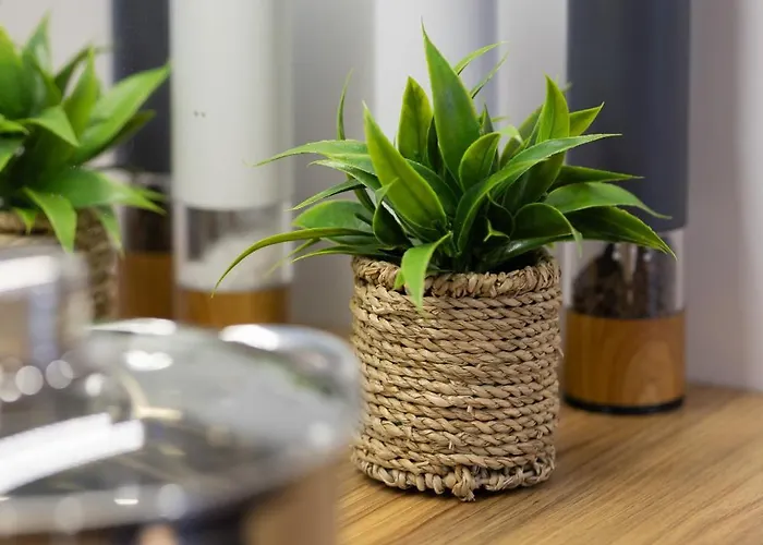 Modern Near The Palace Of Culture And Science By Rent Like Varsó